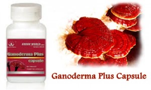 Obat Herbal Ganoderma Plus